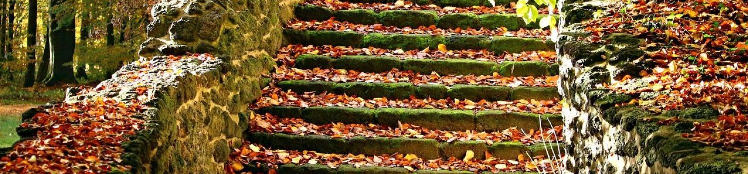 autumn, stairs, fall foliage